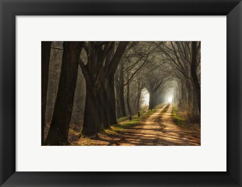 Framed Paths Print
