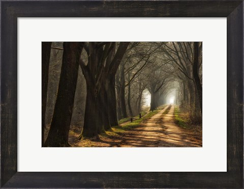 Framed Paths Print
