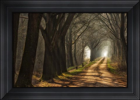 Framed Paths Print