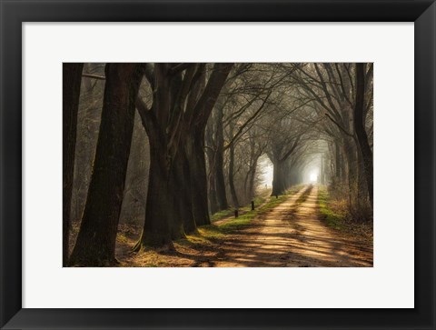 Framed Paths Print