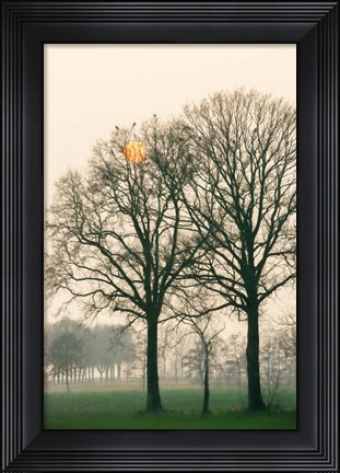 Framed Preparing for Sunset Print