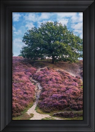 Framed Purple Heath Print