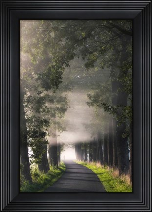 Framed Rays of Fog Print
