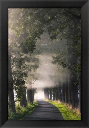 Framed Rays of Fog Print