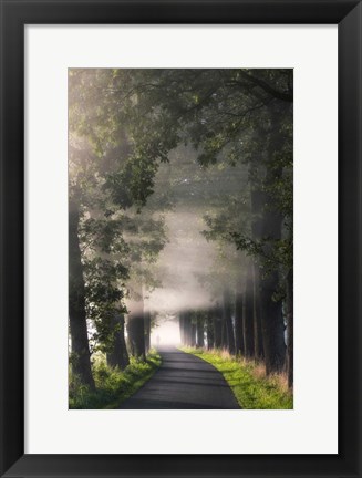 Framed Rays of Fog Print