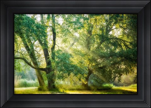 Framed Receiving and Giving Print