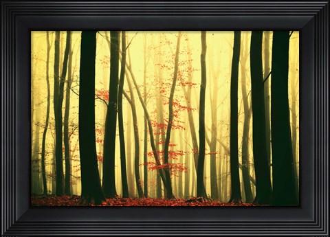 Framed Red Leaves Print