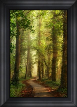 Framed Snake Path Print