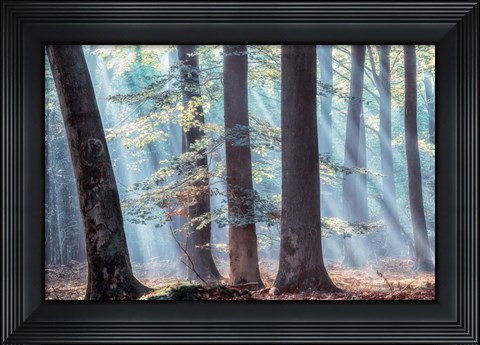 Framed Spellbound Print
