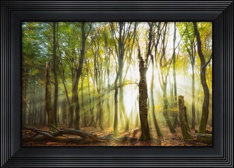 Framed Still Standing Print