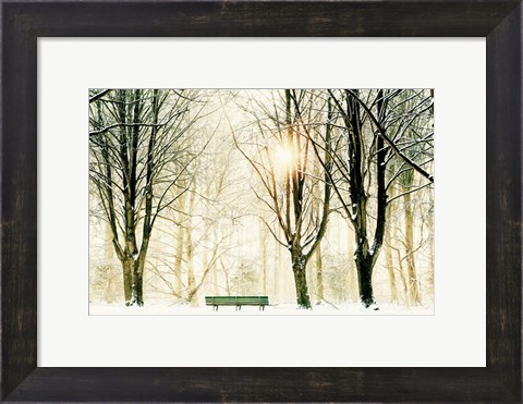Framed Too Cold To Sit Print