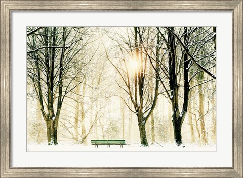 Framed Too Cold To Sit Print