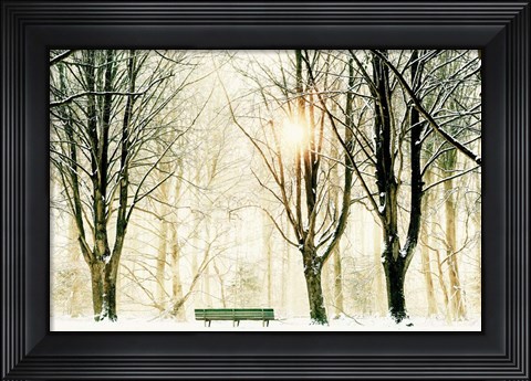 Framed Too Cold To Sit Print