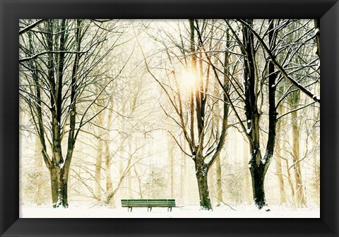 Framed Too Cold To Sit Print