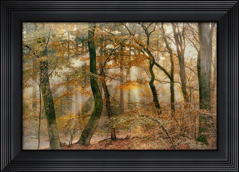 Framed You Can&#39;t Hide Your Rays for Me Print