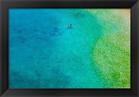 Framed Solo Swim Print