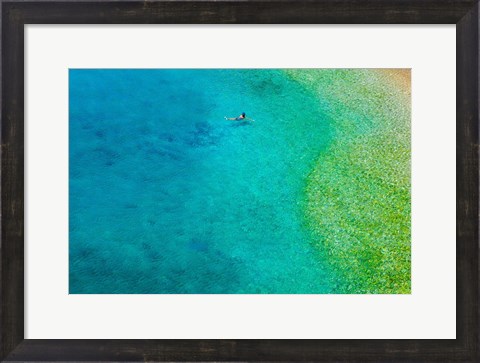 Framed Solo Swim Print