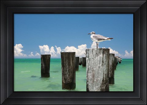 Framed Welcome to Naples, Florida Print