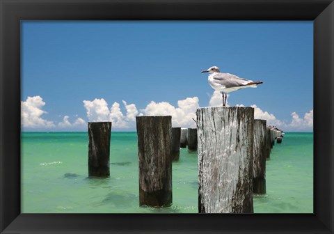 Framed Welcome to Naples, Florida Print