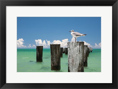Framed Welcome to Naples, Florida Print