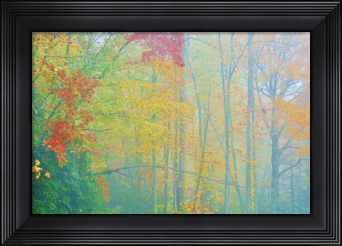 Framed Autumn&#39;s Palette Print