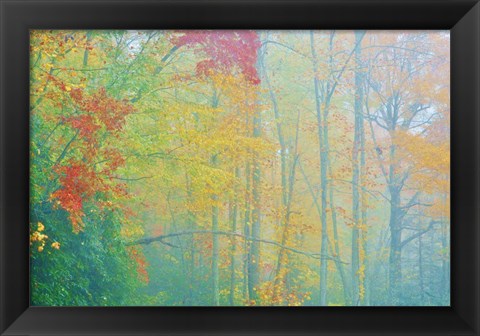 Framed Autumn&#39;s Palette Print