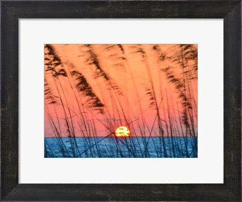 Framed Sun Dance Print