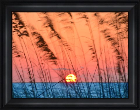 Framed Sun Dance Print