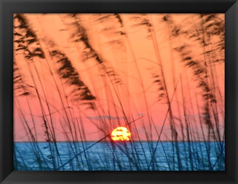Framed Sun Dance Print