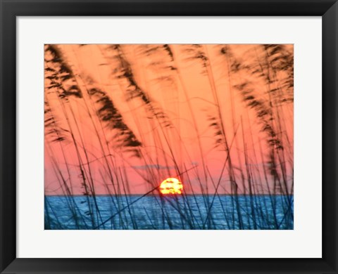 Framed Sun Dance Print