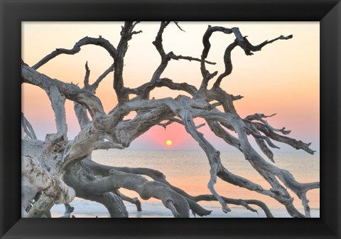 Framed Sunrise Sentinel Print