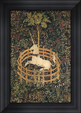Framed Unicorn in Captivity Print