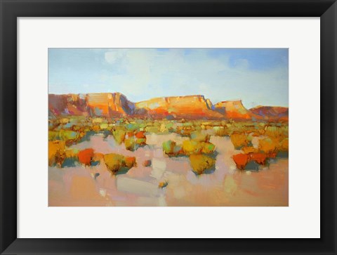 Framed Canyon View Print