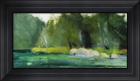 Framed Lily Pond &amp; Dark Woods Print