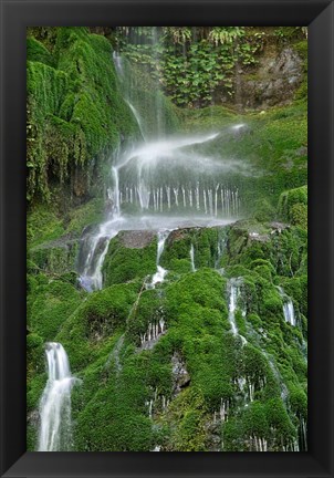 Framed Moss Waterfall Print