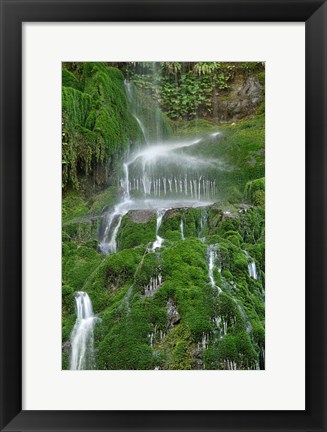 Framed Moss Waterfall Print