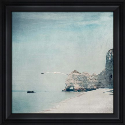 Framed Gliding Print