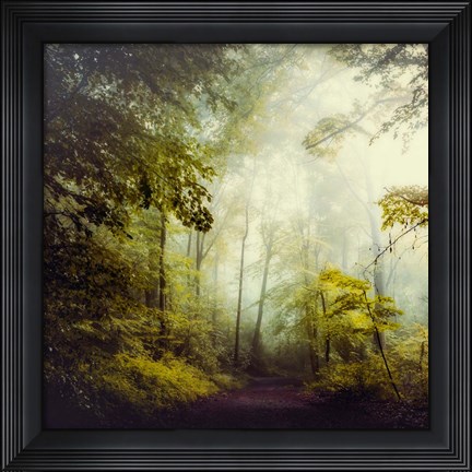 Framed Glorious Woods Print