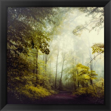 Framed Glorious Woods Print