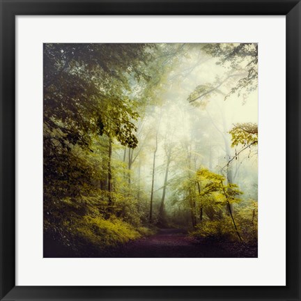 Framed Glorious Woods Print