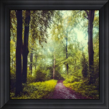 Framed Never the Same Again Print