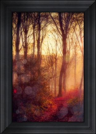 Framed Seasons Light Print