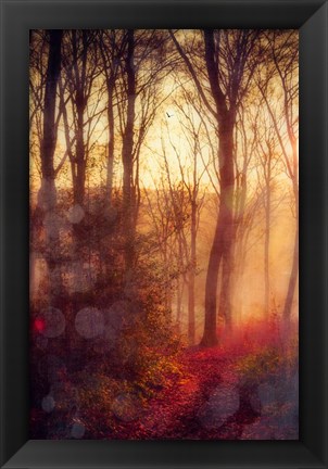 Framed Seasons Light Print