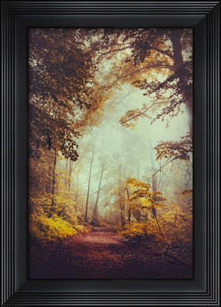Framed Silent Forest Print
