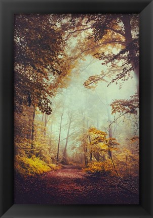 Framed Silent Forest Print