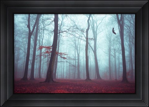 Framed Solstice in Fog Print