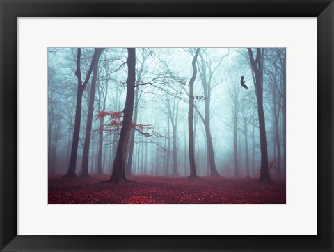 Framed Solstice in Fog Print