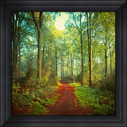 Framed Sunday Morning Walk Print