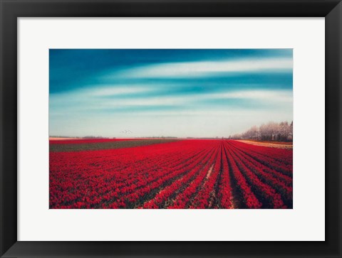 Framed Tulips Print