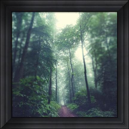 Framed Waldweg Print